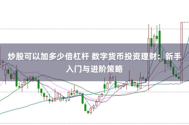 炒股可以加多少倍杠杆 数字货币投资理财：新手入门与进阶策略