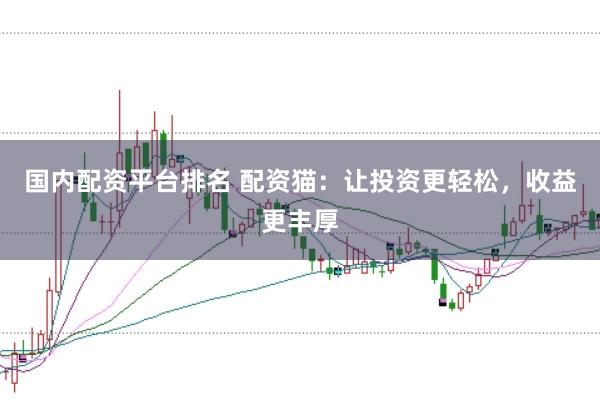 国内配资平台排名 配资猫：让投资更轻松，收益更丰厚