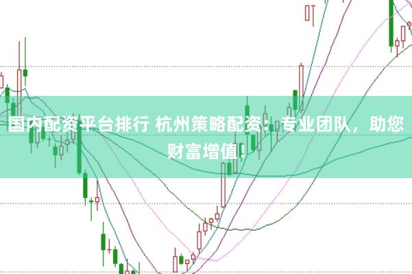 国内配资平台排行 杭州策略配资：专业团队，助您财富增值！