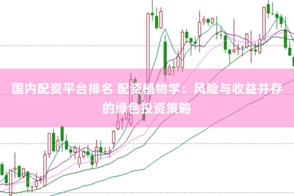 国内配资平台排名 配资植物学：风险与收益并存的绿色投资策略