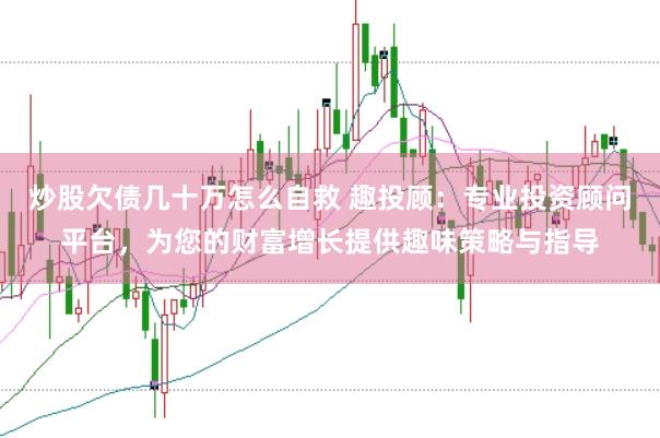 炒股欠债几十万怎么自救 趣投顾：专业投资顾问平台，为您的财富增长提供趣味策略与指导