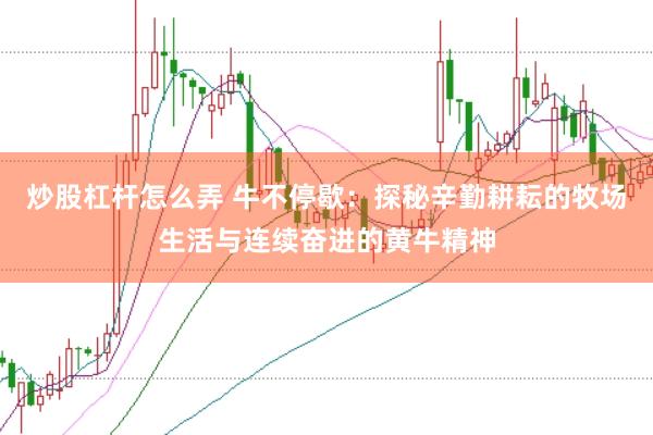 炒股杠杆怎么弄 牛不停歇：探秘辛勤耕耘的牧场生活与连续奋进的黄牛精神