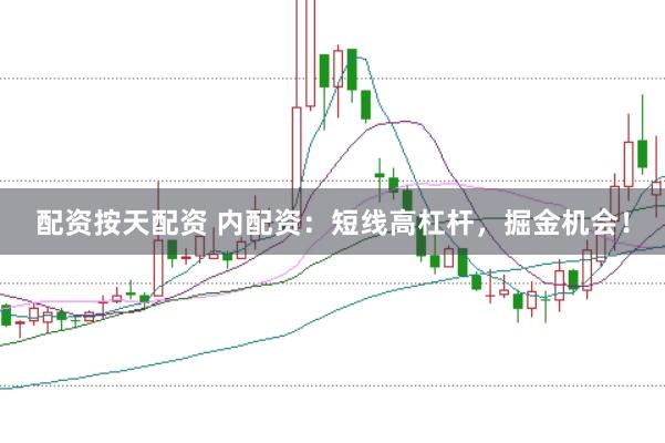 配资按天配资 内配资：短线高杠杆，掘金机会！
