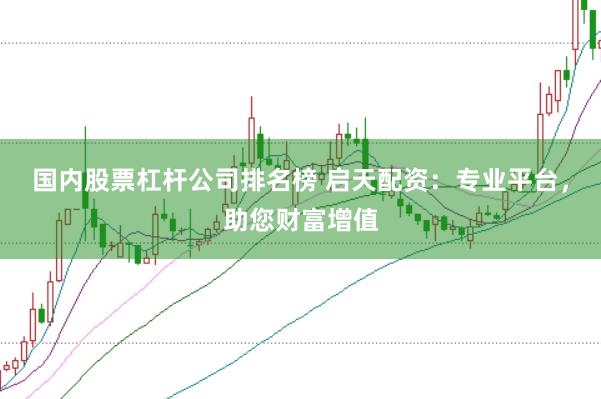 国内股票杠杆公司排名榜 启天配资：专业平台，助您财富增值