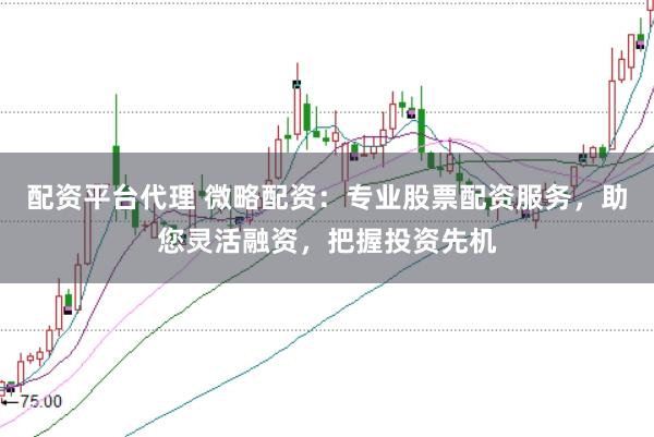 配资平台代理 微略配资：专业股票配资服务，助您灵活融资，把握投资先机