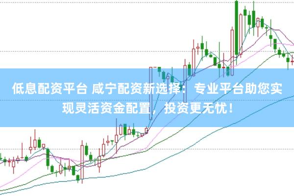 低息配资平台 咸宁配资新选择：专业平台助您实现灵活资金配置，投资更无忧！
