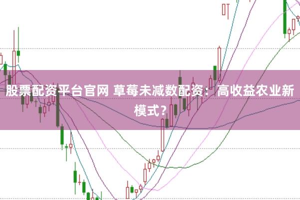 股票配资平台官网 草莓未减数配资：高收益农业新模式？