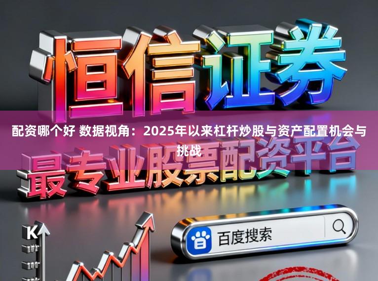 配资哪个好 数据视角：2025年以来杠杆炒股与资产配置机会与挑战