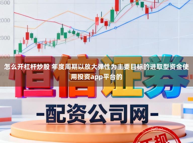 怎么开杠杆炒股 年度周期以放大弹性为主要目标的进取型资金使用投资app平台的