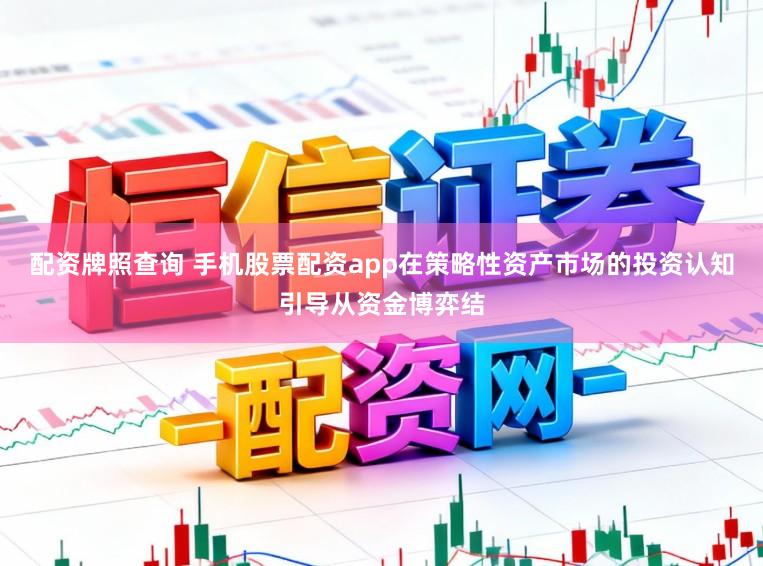 配资牌照查询 手机股票配资app在策略性资产市场的投资认知引导从资金博弈结