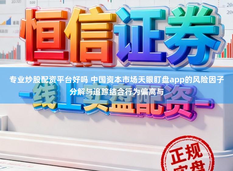 专业炒股配资平台好吗 中国资本市场天眼盯盘app的风险因子分解与追踪结合行为偏离与