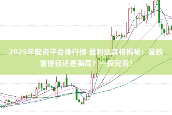 2025年配资平台排行榜 盈利达真相揭秘：是致富捷径还是骗局？一探究竟！